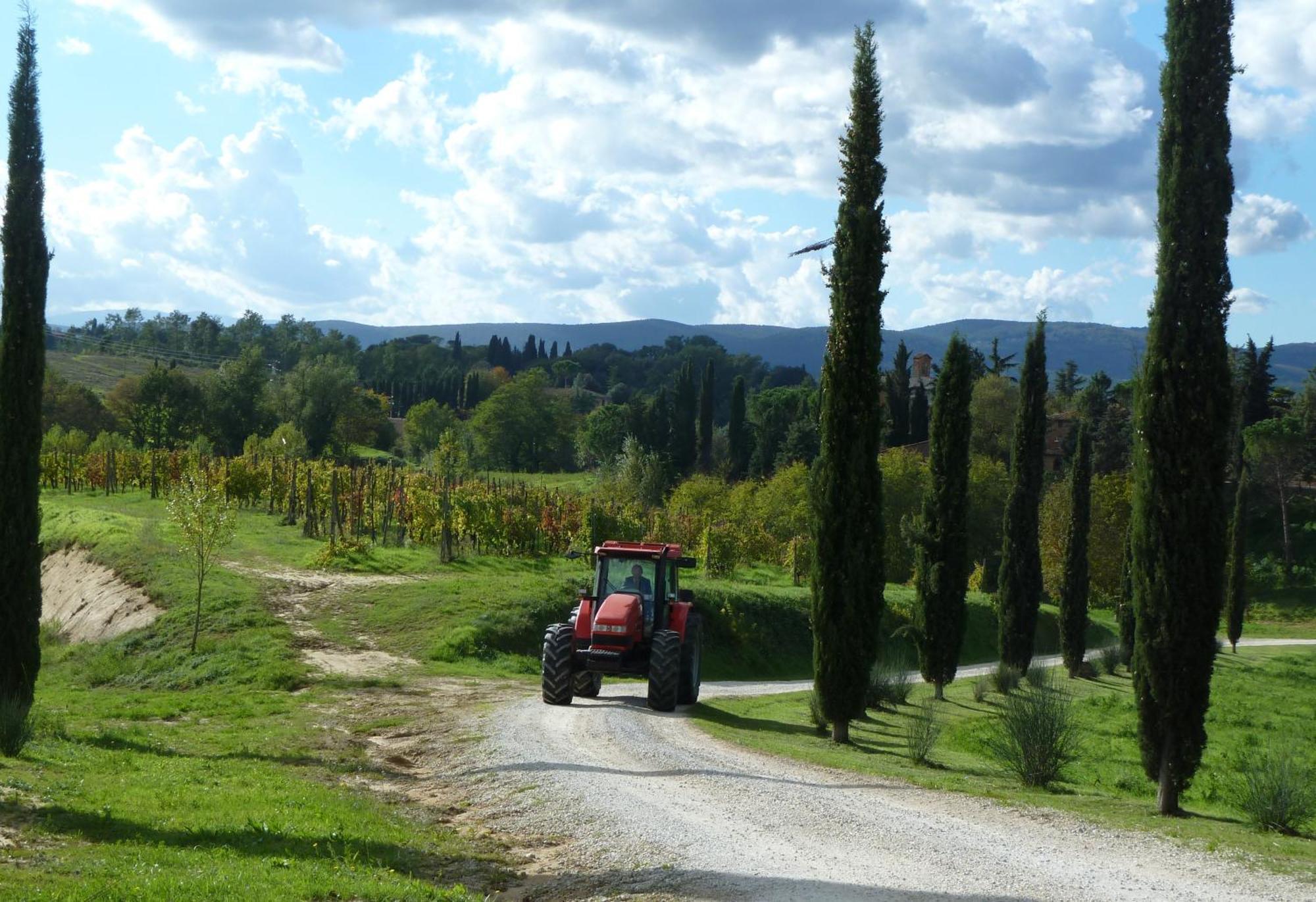 Agriturismo La Grotta Di Montecchino Siena Ngoại thất bức ảnh