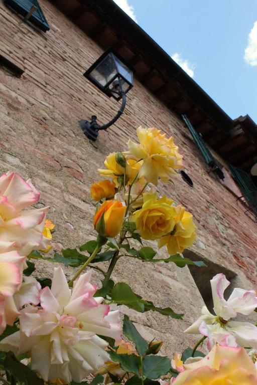 Agriturismo La Grotta Di Montecchino Siena Ngoại thất bức ảnh
